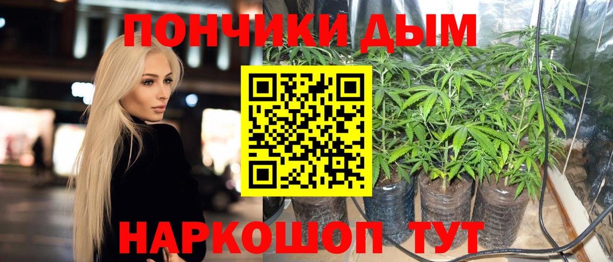 Конопля план  Бошки Шишки ГИДРОПОН  Вход с VPN  Волгодонск 